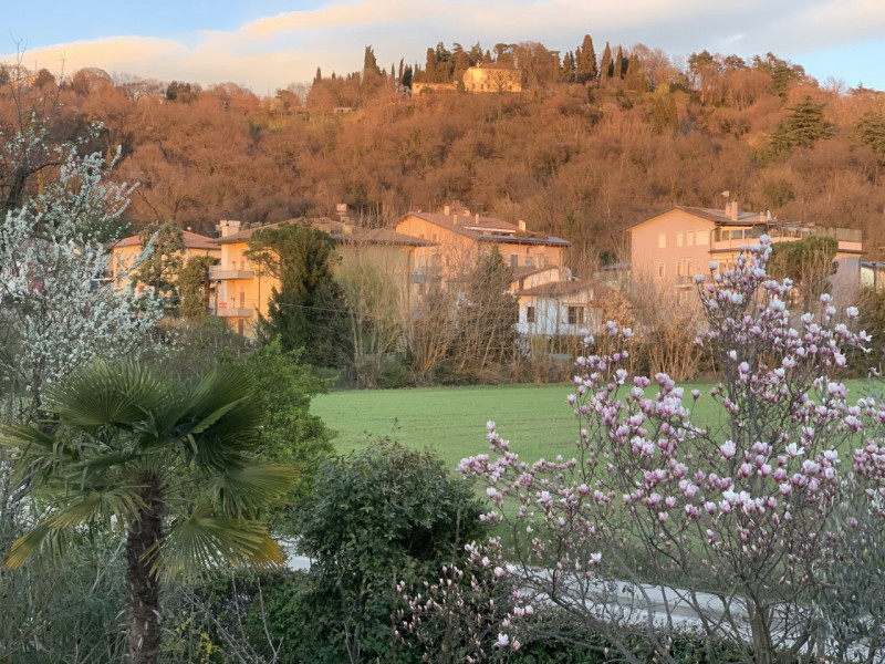 STUPENDA VILLA DI TESTA CON AMPIO GIARDINO ESCLUSIVO – Rif. 8357
Nel cuore della città, in una de...