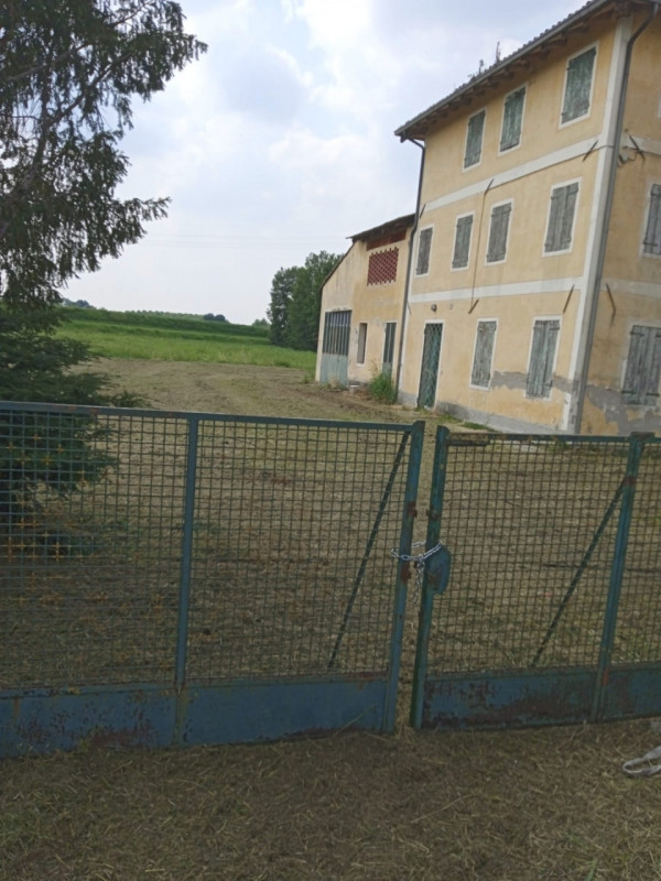 (Per INFO 3316190143) A Loreggia, comune in provincia di Padova, presentiamo una caratteristica v...