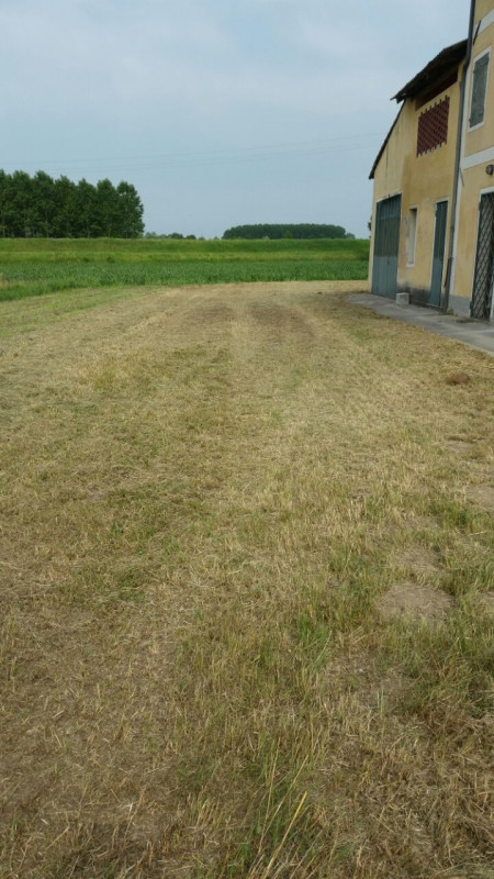 (Per info 3316190143) A Loreggia, comune in provincia di Padova, presentiamo una caratteristica v...