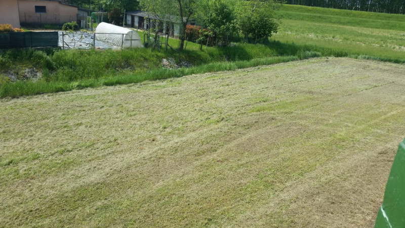 (Per INFO 3316190143) A Loreggia, comune in provincia di Padova, presentiamo una caratteristica v...