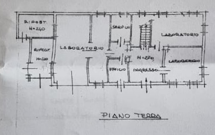 (Per INFO 3316190143) A Loreggia, comune in provincia di Padova, presentiamo una caratteristica v...