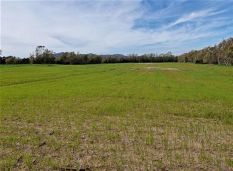 Cittadella, zona borgo Vicenza, vendesi terreno residenziale di 1.260 mq con 1.350 metri cubi edi...