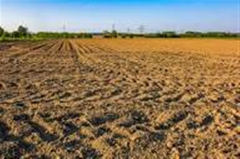 Cittadella, zona borgo Vicenza, vendesi terreno residenziale di 1.260 mq con 1.350 metri cubi edi...