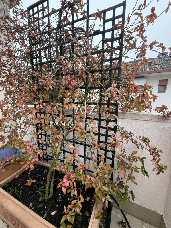 Situato nel centro storico di Castelfranco Veneto, questo splendido appartamento trilocale offre ...