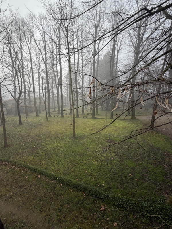 Proponiamo in affitto un ampio e luminoso ufficio di circa 160 mq situato nel comune di Noventa P...