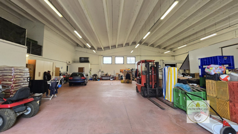 Rif. S398 - Proponiamo in vendita nel comune di Solesino proprietà composta da casa indipendente ...