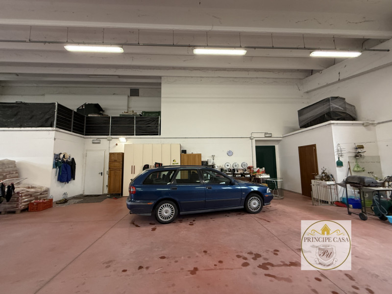 Rif. S398 - Proponiamo in vendita nel comune di Solesino proprietà composta da casa indipendente ...