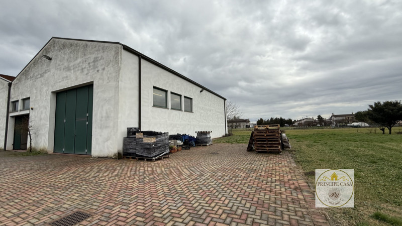 Rif. S398 - Proponiamo in vendita nel comune di Solesino proprietà composta da casa indipendente ...