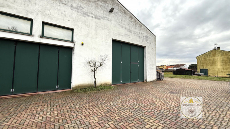 Rif. S398 - Proponiamo in vendita nel comune di Solesino proprietà composta da casa indipendente ...