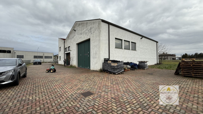 Rif. S398 - Proponiamo in vendita nel comune di Solesino proprietà composta da casa indipendente ...