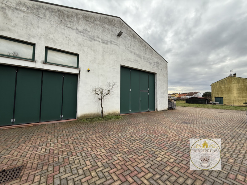 Rif. S398 - Proponiamo in vendita nel comune di Solesino proprietà composta da casa indipendente ...