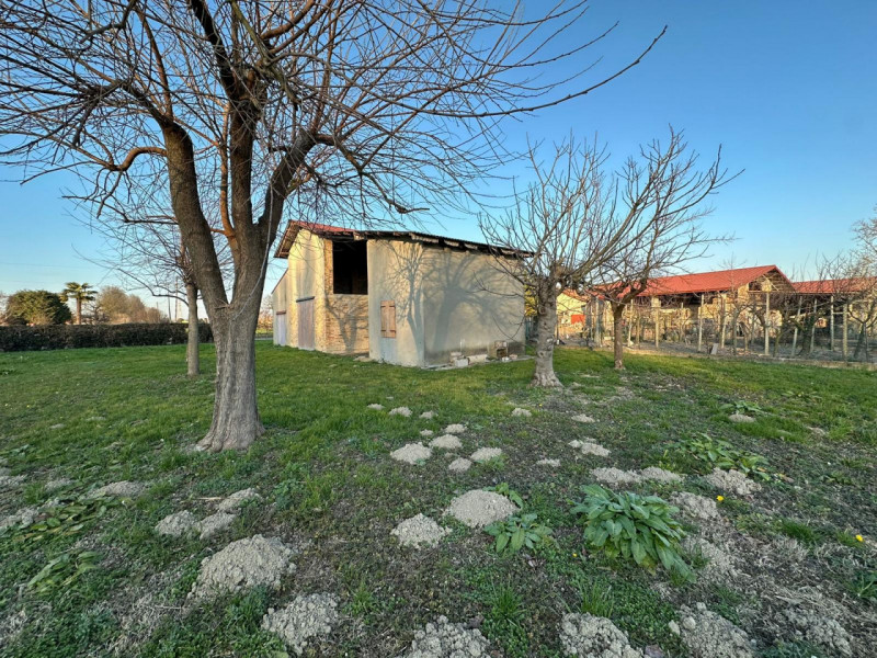 immagine annuncio 1 di 4