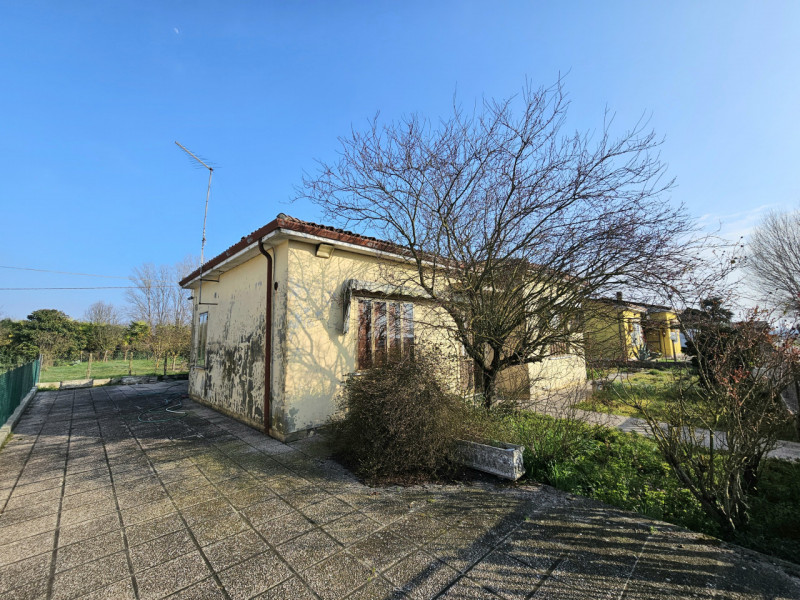 Proponiamo in vendita nella prima periferia di Solesino, casa singola distribuita su un unico liv...