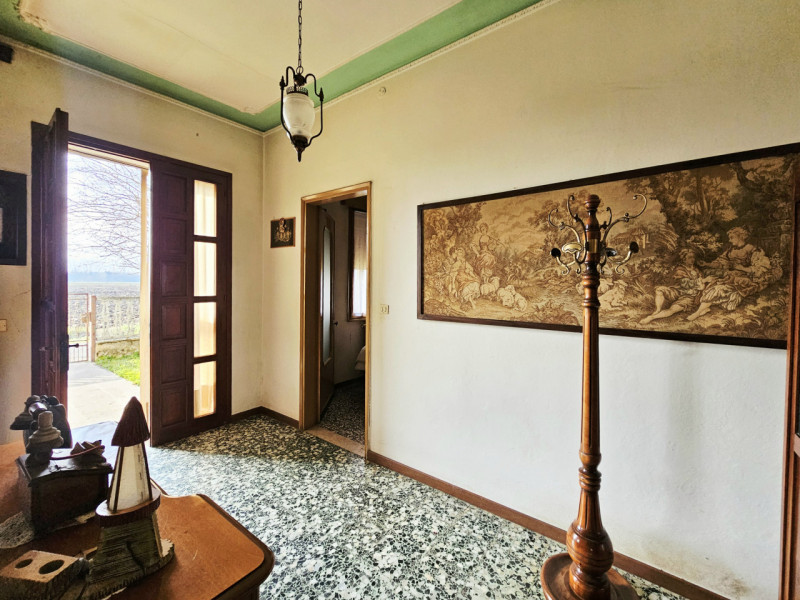 Proponiamo in vendita nella prima periferia di Solesino, casa singola distribuita su un unico liv...