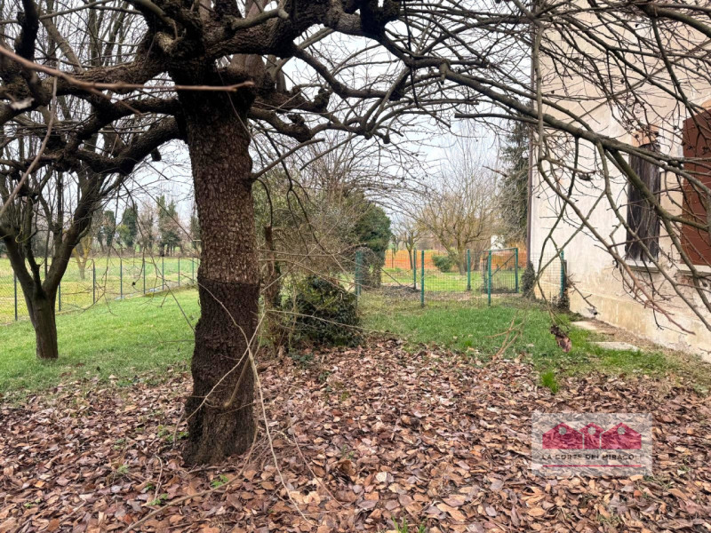 ANCONETTA: CASA SINGOLA DA RISTRUTTURARE SUL LOTTO DI OLTRE 1.600MQ. RIF. VS110L EURO 290.000

In...