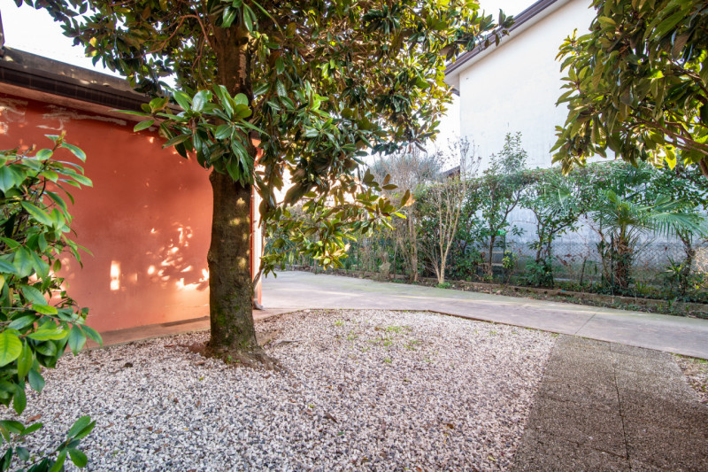 Proponiamo in vendita una rara opportunità nel cuore di Cittadella: CASA SINGOLA di circa 300 mq,...