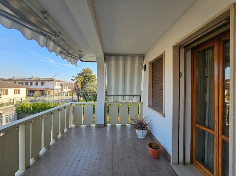 Proponiamo in vendita, a Megliadino San Vitale, spaziosa casa singola con ampia area verde esclus...