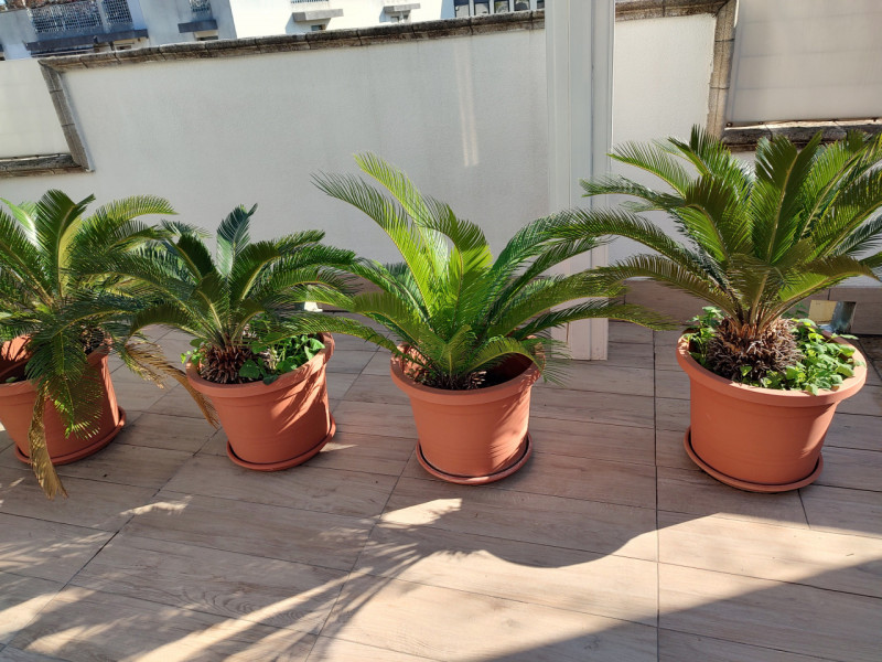 SAVONAROLA – PORTA TRENTO | ATTICO CON TERRAZZA 50 MQ E VISTA PANORAMICA SUL CENTRO STORICO

Scop...