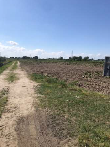 RIF. A.A.56-21

Vendesi all'asta - terreno agricolo in data 22 aprile 2026

Descrizione: trattasi...