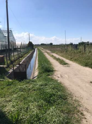 RIF. A.A.56-21

Vendesi all'asta - terreno agricolo in data 22 aprile 2026

Descrizione: trattasi...