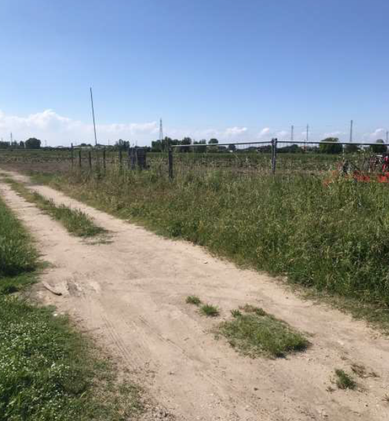 RIF. A.A.56-21

Vendesi all'asta - terreno agricolo in data 22 aprile 2026

Descrizione: trattasi...