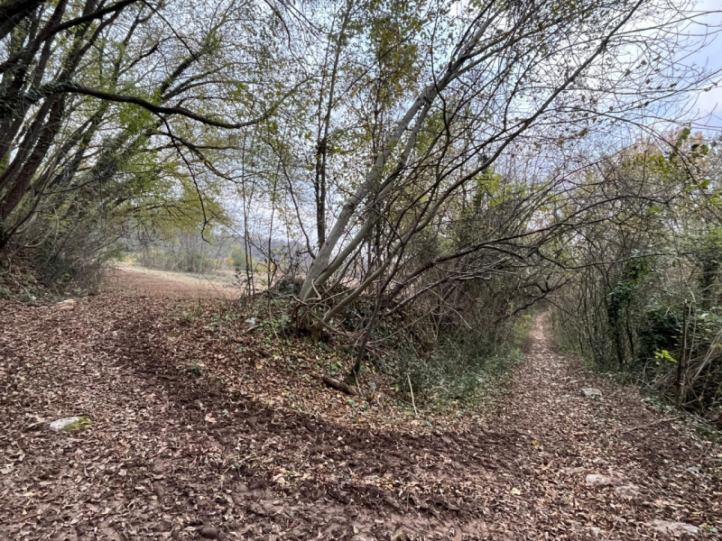 Scoprite un'opportunità unica per realizzare la vostra casa dei sogni in uno scenario naturalisti...