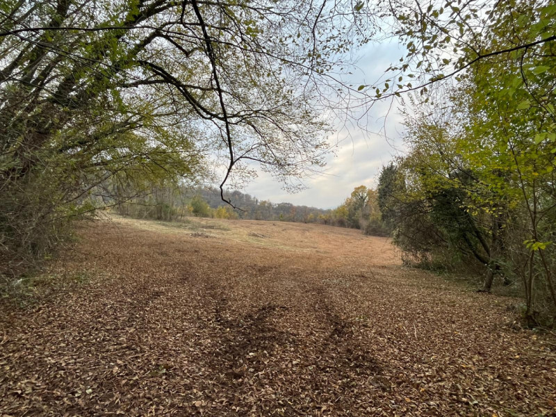 Scoprite un'opportunità unica per realizzare la vostra casa dei sogni in uno scenario naturalisti...