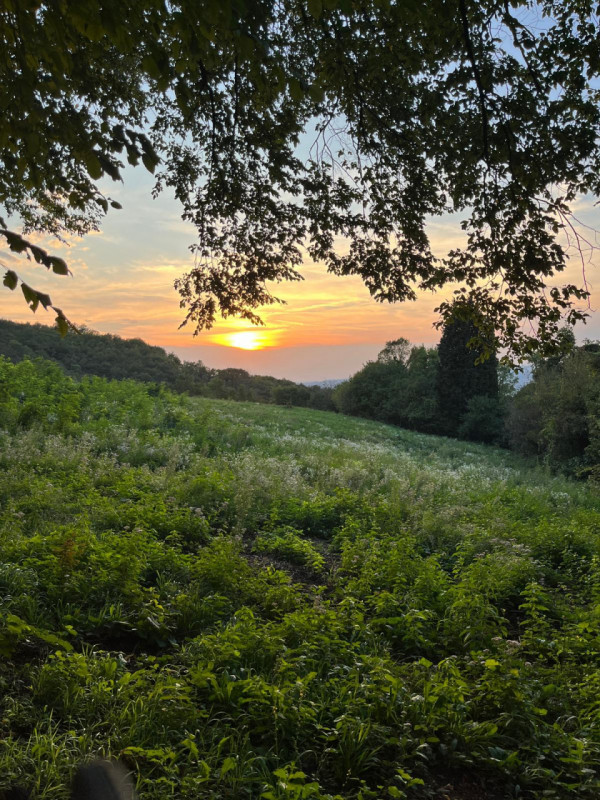 Scoprite un'opportunità unica per realizzare la vostra casa dei sogni in uno scenario naturalisti...