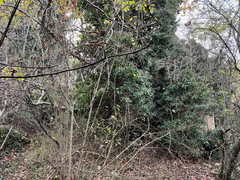 Scoprite un'opportunità unica per realizzare la vostra casa dei sogni in uno scenario naturalisti...