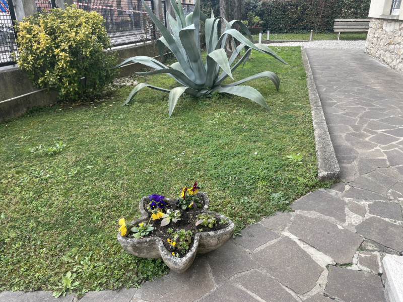 Nel cuore di Santa Bertilla, a pochi minuti dal centro storico e comodo a tutti i servizi, propon...