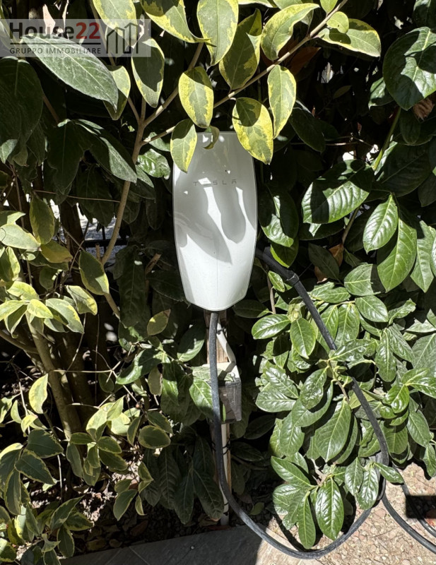 A soli 15 minuti da VICENZA. Il Privilegio dell'Acqua: STORICO MULINO del 500 con Parco Naturale ...