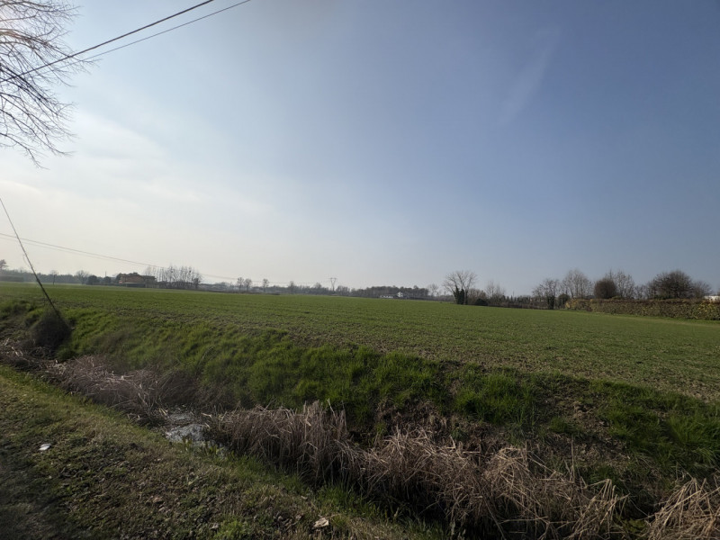 A Saccolongo, in una zona immersa nel verde ma a pochi minuti dal centro, proponiamo in vendita u...
