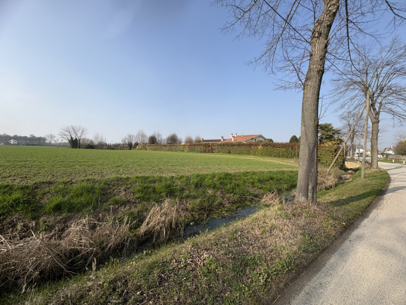 A Saccolongo, in una zona immersa nel verde ma a pochi minuti dal centro, proponiamo in vendita u...