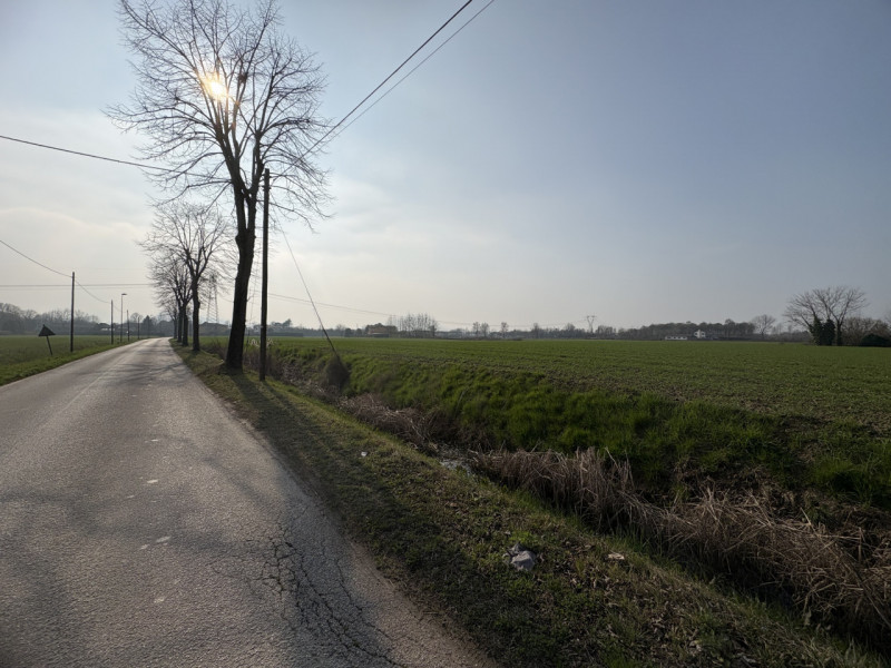 A Saccolongo, in una zona immersa nel verde ma a pochi minuti dal centro, proponiamo in vendita u...