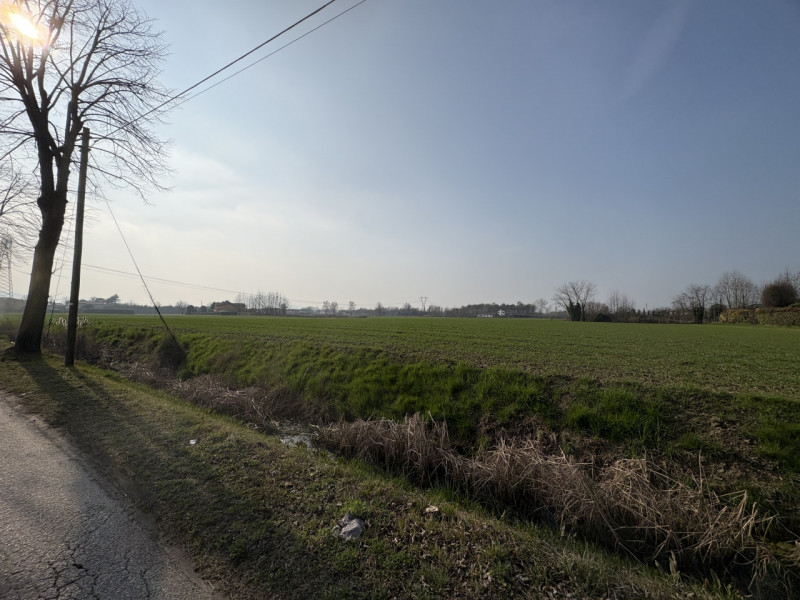 A Saccolongo, in una zona immersa nel verde ma a pochi minuti dal centro, proponiamo in vendita u...