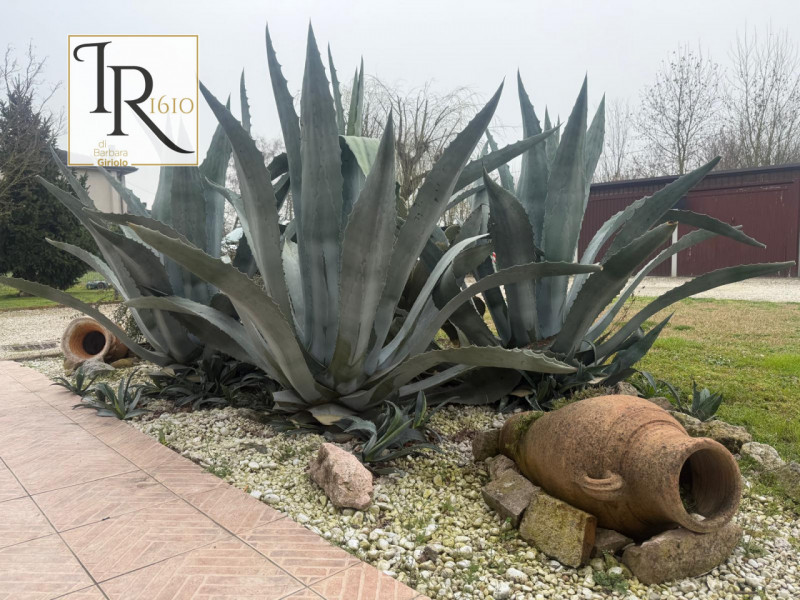 Nel cuore di Castelbaldo, proponiamo in vendita una splendida casa singola terratetto che unisce ...