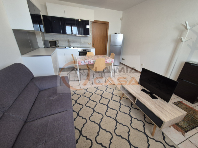 E' RICHIESTO UN CONTRATTO DI LOCAZIONE TRANSITORIO DI 12 MESI PER STUDENTI, RICERCATORI, INSEGNAN...