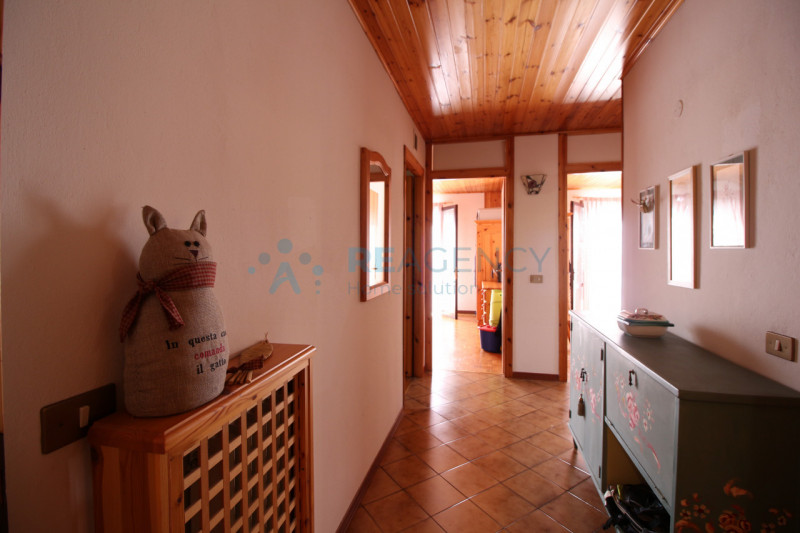 Tonezza del Cimone 

Stai cercando un appartamento in stile montano nell' Altopiano Vicentino?

P...