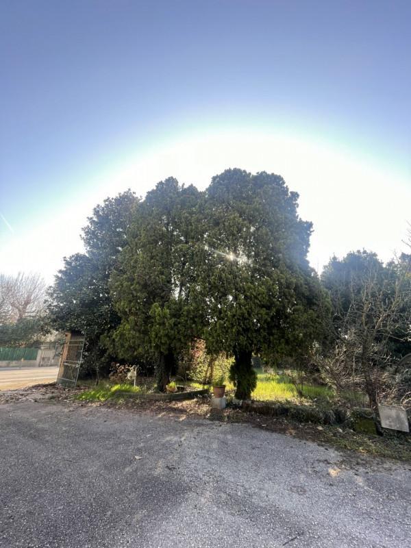 Scopri un'opportunità unica di possedere un incantevole rustico cascina nel cuore della zona di P...