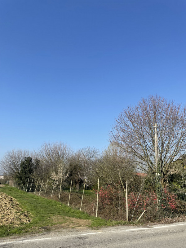 Scopri un'opportunità unica di possedere un incantevole rustico cascina nel cuore della zona di P...