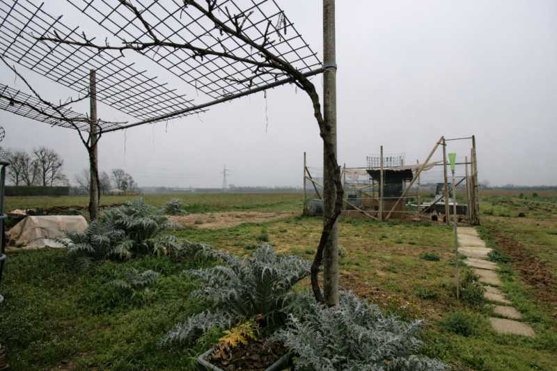 Nel cuore della tranquillità della campagna di Isola Vicentina, inserito in un piccolo e curato c...