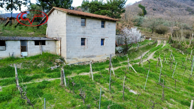 Immagine 2