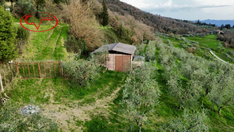 Immagine 2
