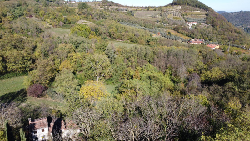 Nel suggestivo contesto dei Colli Euganei, nella zona collinare di Torreglia, proponiamo in vendi...