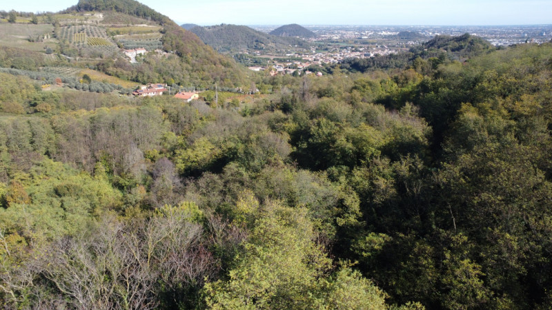 Nel suggestivo contesto dei Colli Euganei, nella zona collinare di Torreglia, proponiamo in vendi...