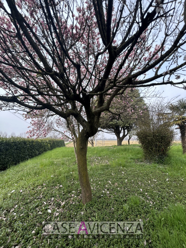Proponiamo in affitto una villa singola di circa 190 mq nel cuore della campagna tra Grisignano d...