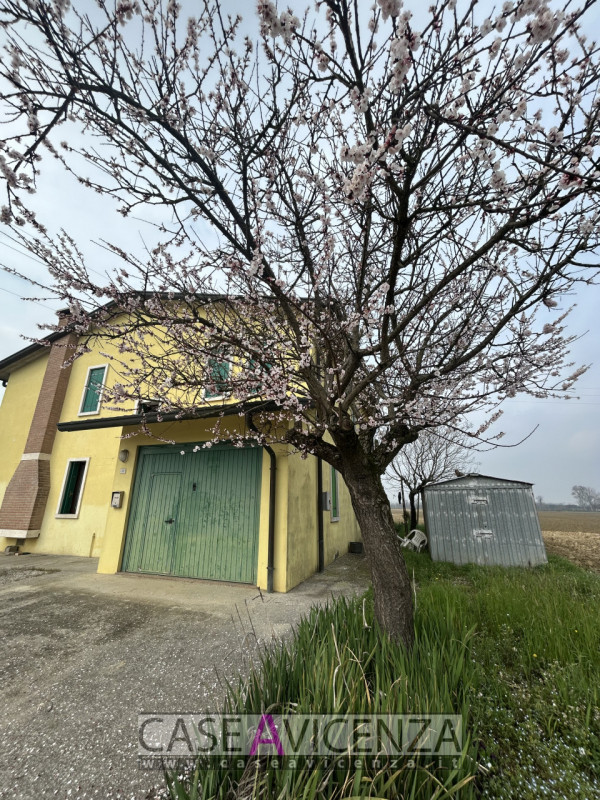 Proponiamo in affitto una villa singola di circa 190 mq nel cuore della campagna tra Grisignano d...