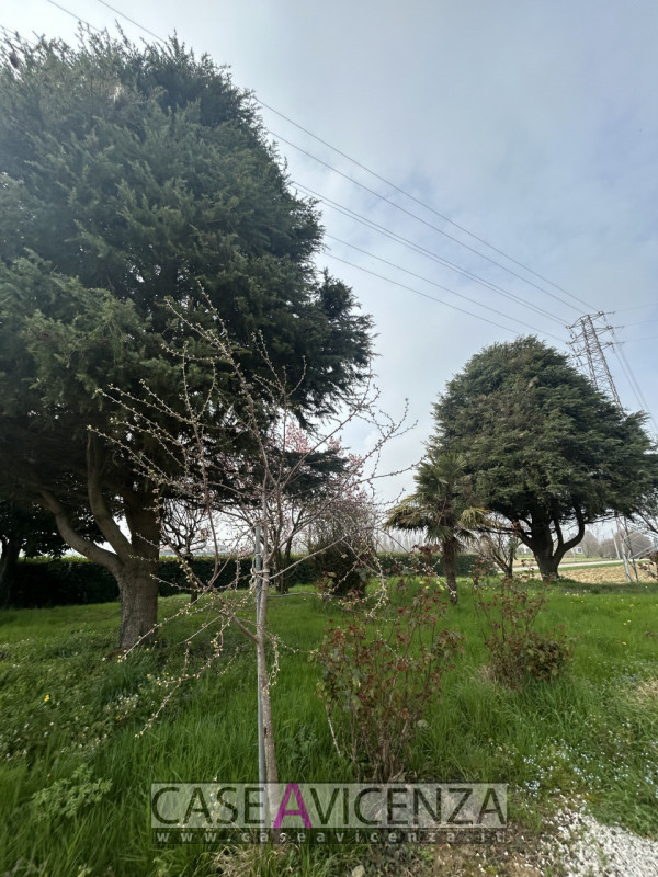 Proponiamo in affitto una villa singola di circa 190 mq nel cuore della campagna tra Grisignano d...