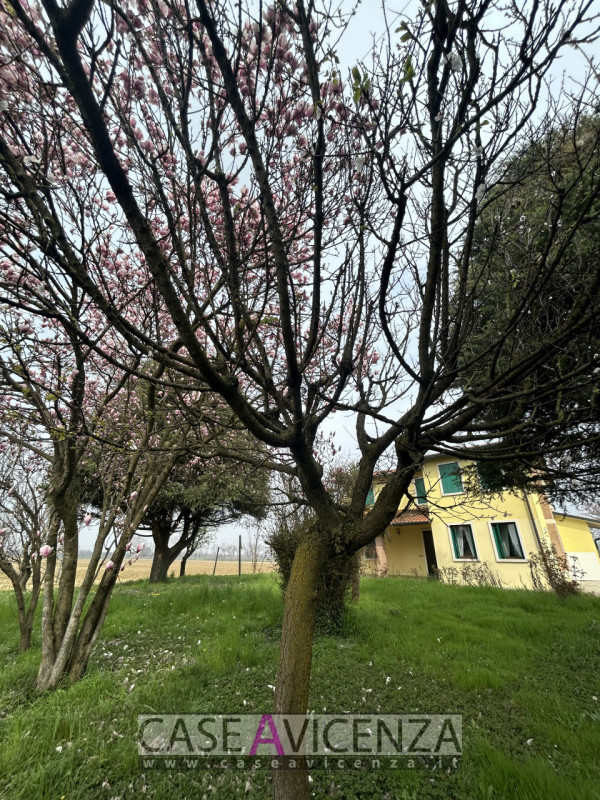 Proponiamo in affitto una villa singola di circa 190 mq nel cuore della campagna tra Grisignano d...