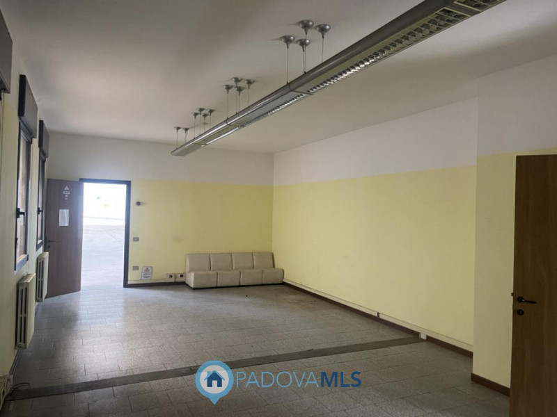 Immobile in esclusiva al Gruppo Padova MLS
SACCOLONGO Nella zona industriale-artigianale di Sacco...